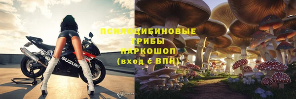 СК Алзамай