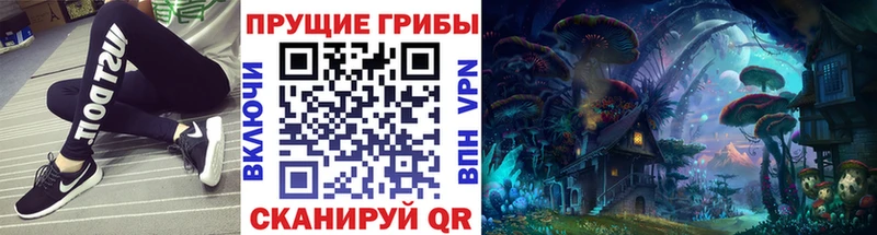 Купить где  Междуреченск  Псилоцибиновые грибы Cubensis 